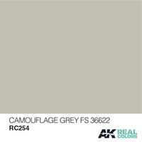 RC254 Camouflage Grey FS 36622