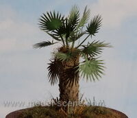 Palm Leaves Green - Type II